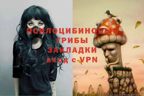 стаф Верея